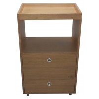 MESA MPW4